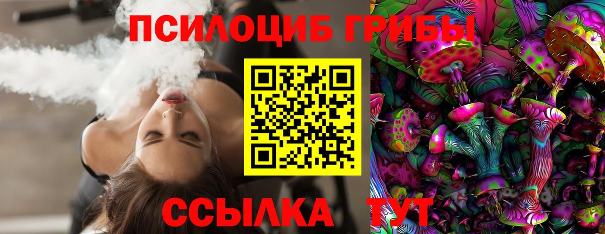 Белореченск  Псилоцибиновые грибы Cubensis  Псилоцибиновые грибы Cubensis  Вход с VPN 