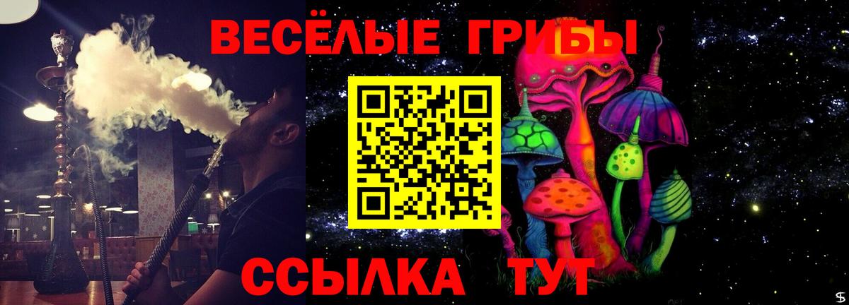 Галлюциногенные грибы GOLDEN TEACHER Белореченск